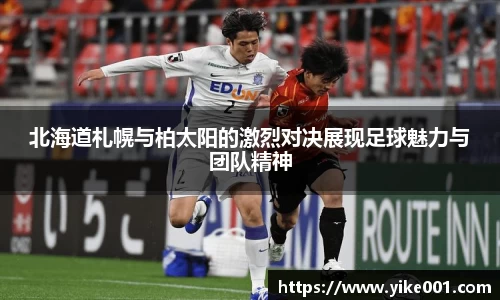 B体育bsports