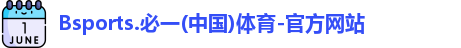 B体育官网